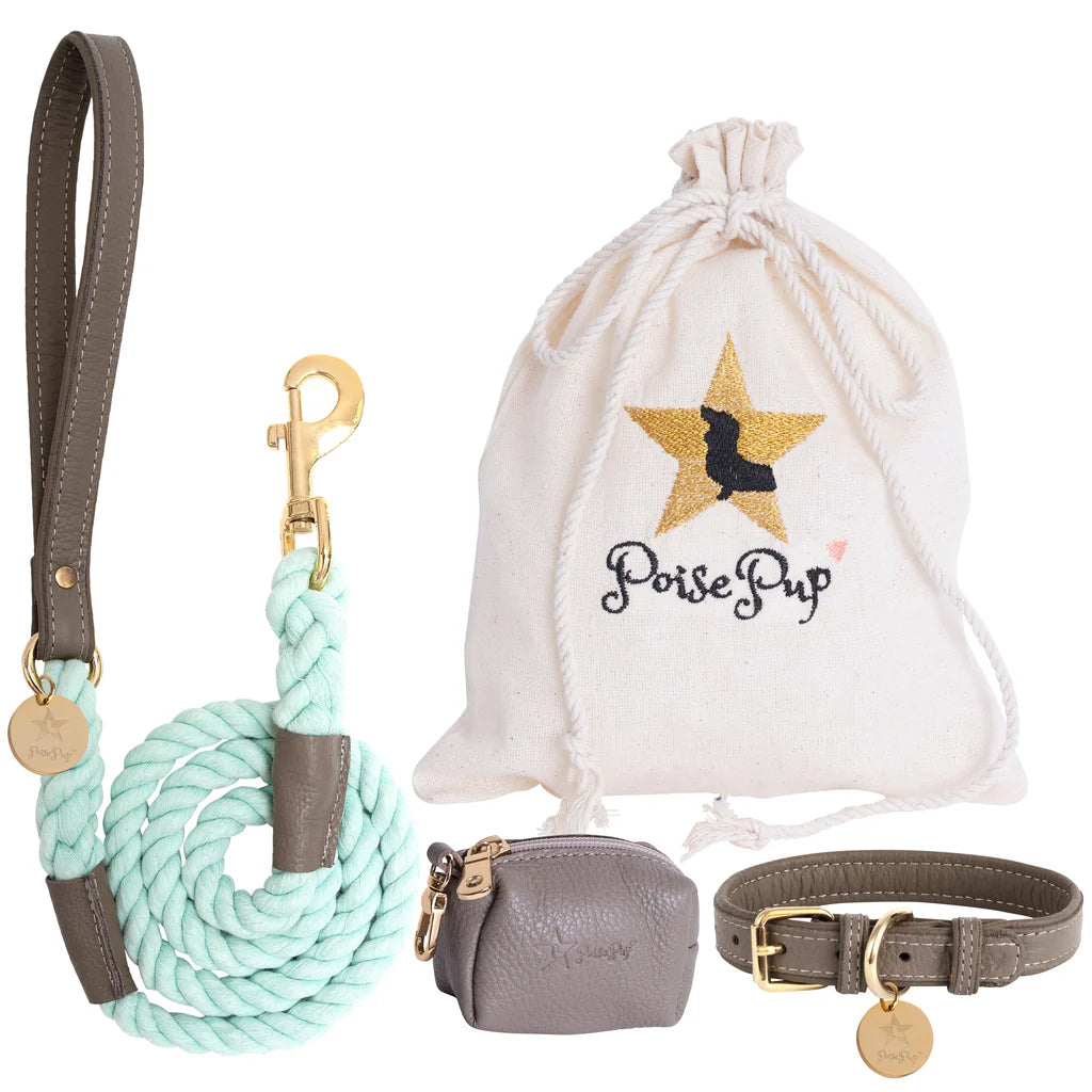 Collar - DESERT MINT