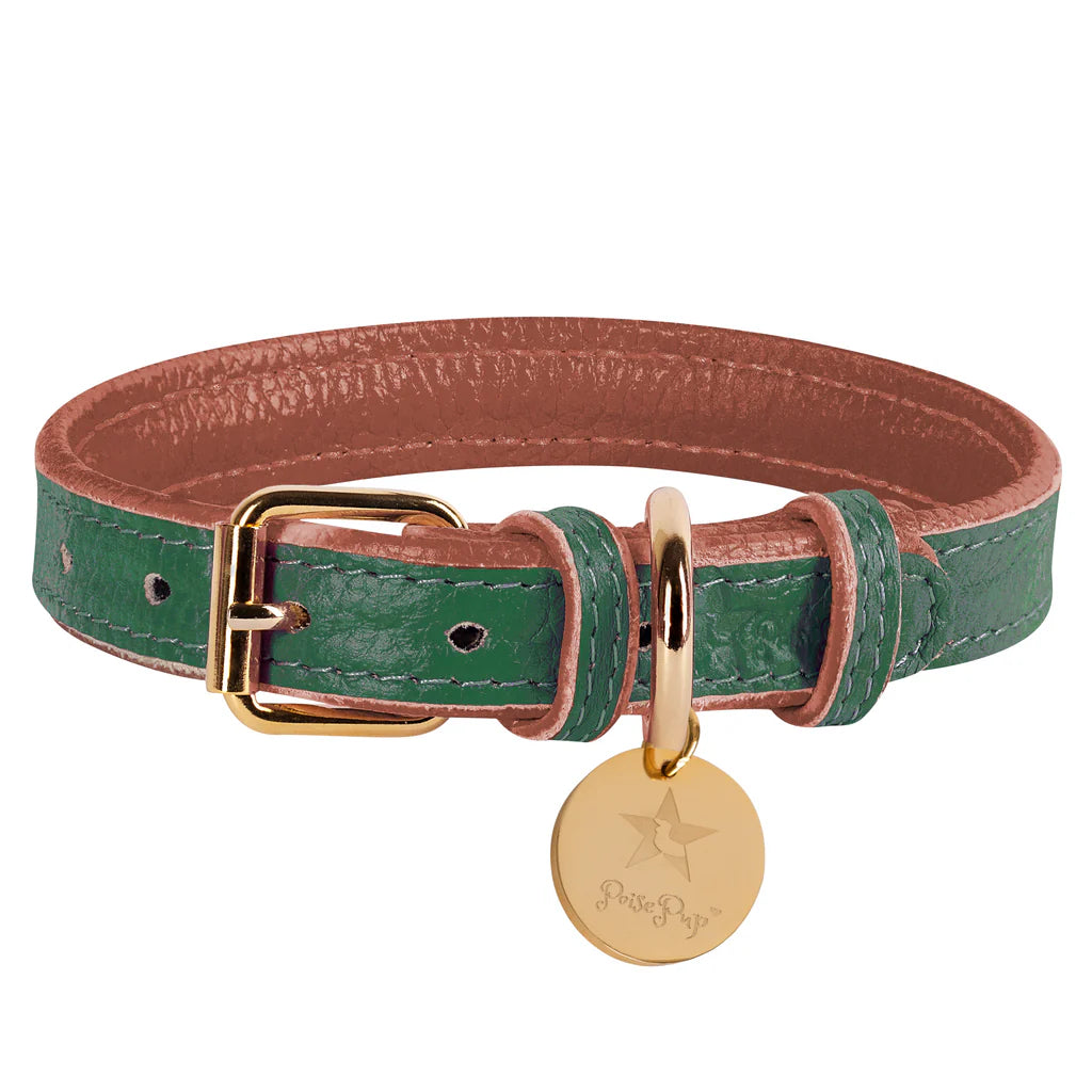 Collar - EVERGREEN LUSH