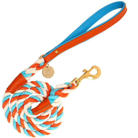 Leash - VIBRANT SUNSET